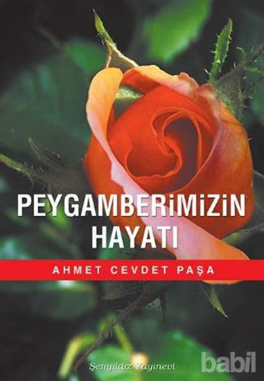 Picture of Peygamberimizin Hayatı