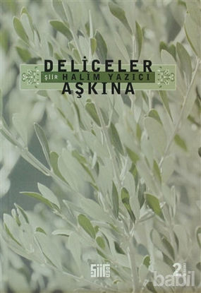 Picture of Deliceler Aşkına