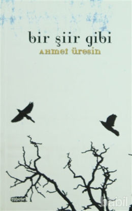 Picture of Bir Şiir Gibi