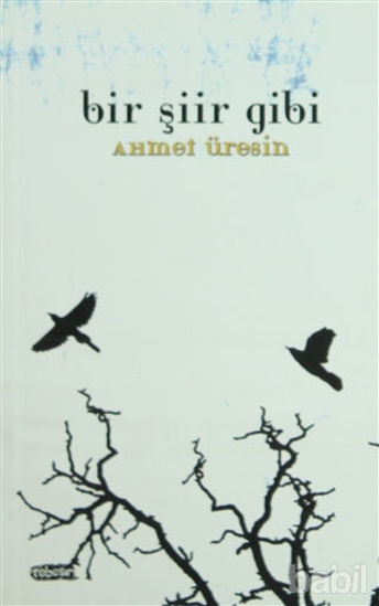 Picture of Bir Şiir Gibi