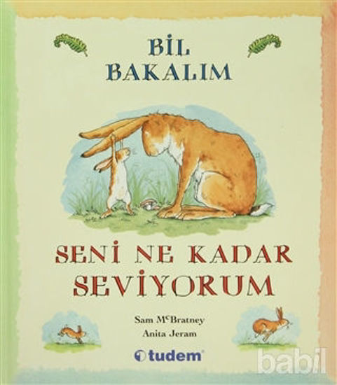 Picture of Bil Bakalım Seni Ne Kadar Seviyorum?