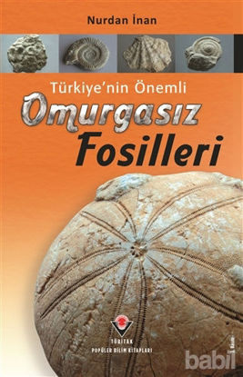 Picture of Türkiye’nin Önemli Omurgasız Fosilleri