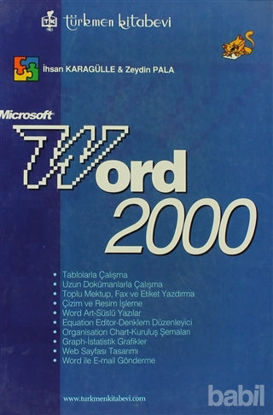 Picture of Microsoft Word 2000