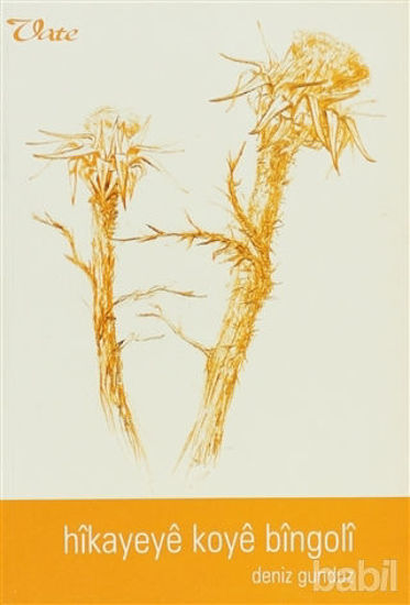 Picture of Hikayeye Koye Bingoli