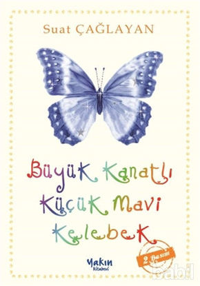 Picture of Büyük Kanatlı Küçük Mavi Kelebek