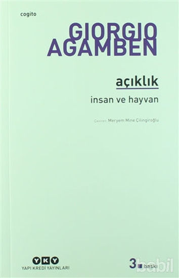 Picture of Açıklık