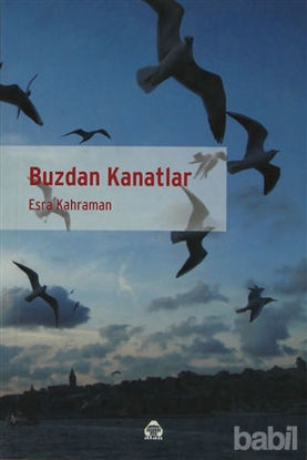 Picture of Buzdan Kanatlar