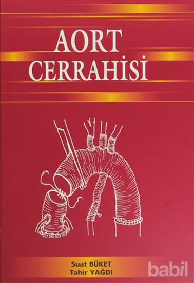 Picture of Aort Cerrahisi