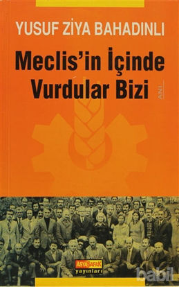 Picture of Meclis'in İçinde Vurdular Bizi