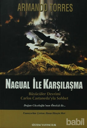 Picture of Nagual İle Karşılaşma