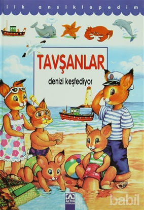 Picture of Tavşan Denizi Keşfediyor
