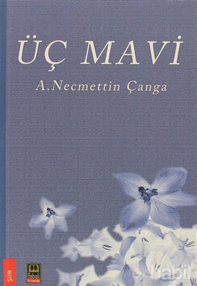 Picture of Üç Mavi