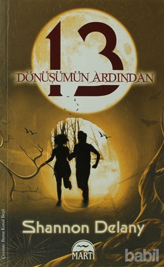 Picture of 13 Dönüşümün Ardından