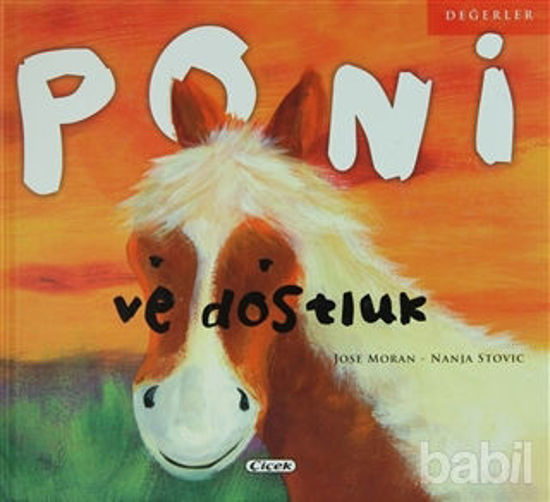 Picture of Poni ve Dostluk