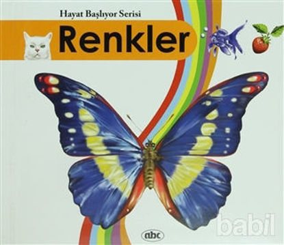 Picture of Renkler - Hayat Başlıyor Serisi 2