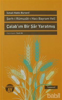 Picture of Şerh-i Rümuzat-ı Hacı Bayram Veli  - Çalab’ım Bir Şar Yaratmış
