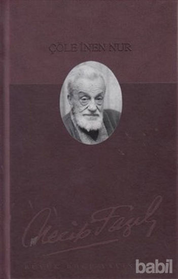 Picture of Çöle İnen Nur: 150 - Necip Fazıl Bütün Eserleri (Deri Cilt)