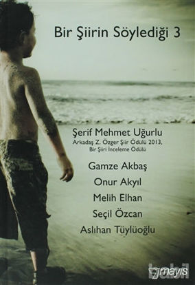 Picture of Bir Şiirin Söylediği 3