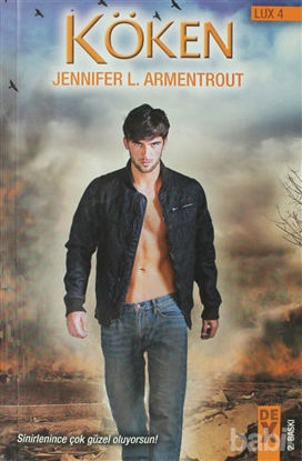 Picture of Lux 4 - Köken