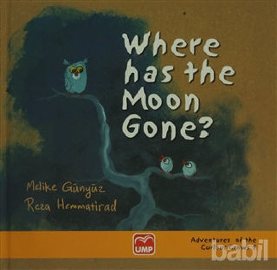 Picture of Where Has The Moon Gone ?