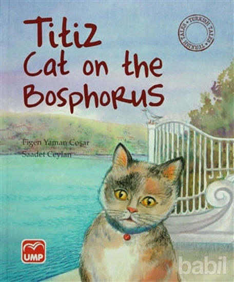 Picture of Titiz Cat on the Bosphorus