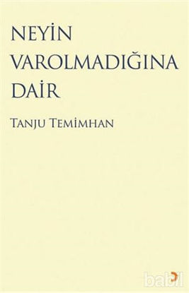 Picture of Neyin Varolmadığına Dair