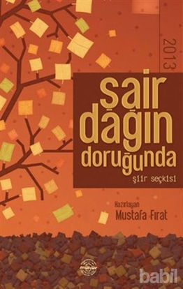 Picture of Şair Dağın Doruğunda 2013