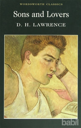 Picture of Sons and Lovers