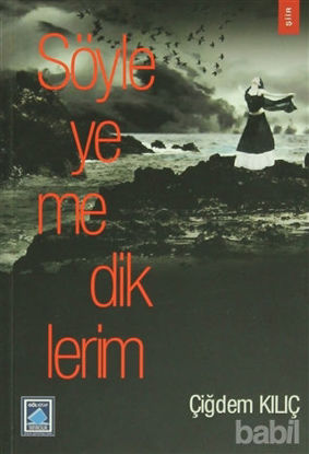 Picture of Söyleyemediklerim
