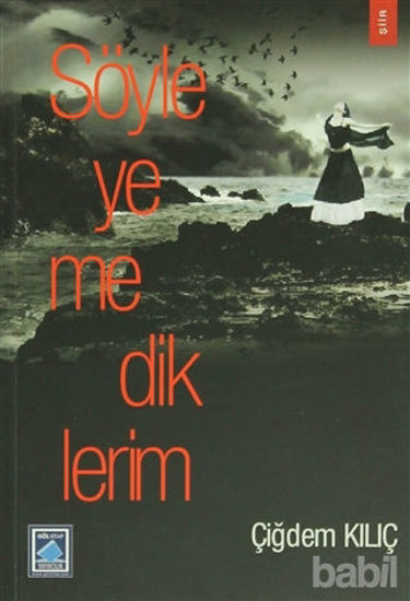 Picture of Söyleyemediklerim