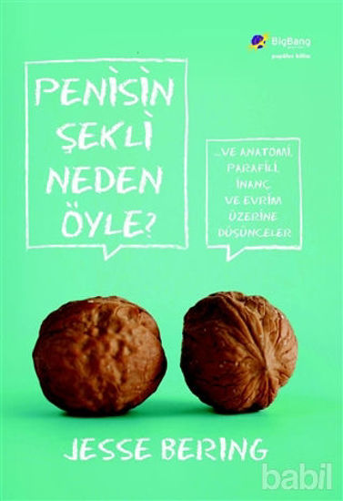 Picture of Penisin Şekli Neden Öyle?