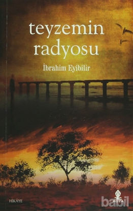 Picture of Teyzemin Radyosu