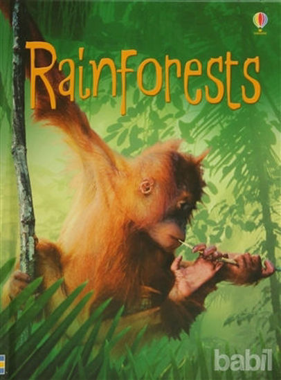 Picture of Rainforests