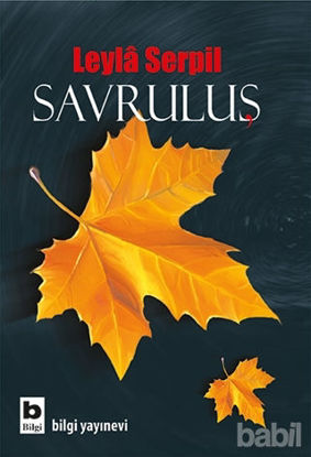 Picture of Savruluş