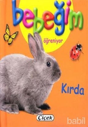 Picture of Bebeğim Öğreniyor - Kırda