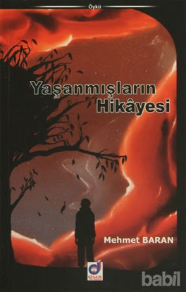 Picture of Yaşanmışların Hikayesi