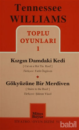 Picture of Toplu Oyunları 1