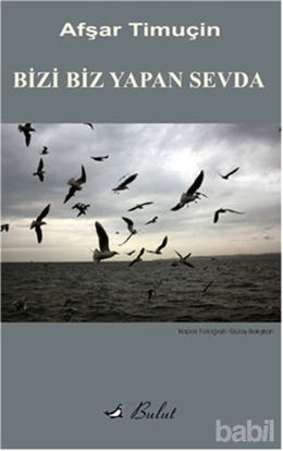 Picture of Bizi Biz Yapan Sevda