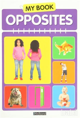 Picture of My Book Opposites