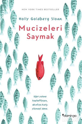 Picture of Mucizeleri Saymak