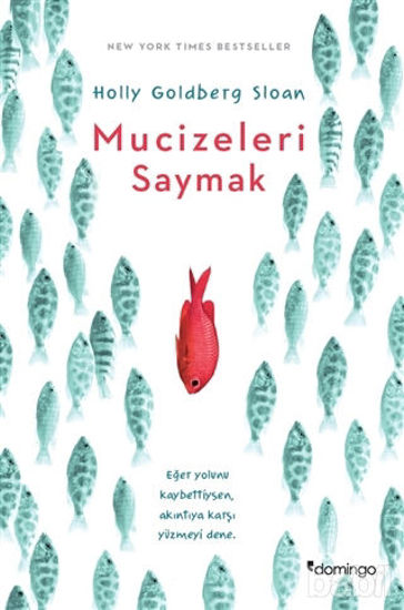 Picture of Mucizeleri Saymak