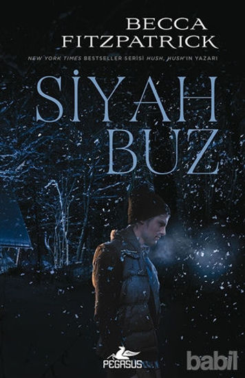 Picture of Siyah Buz