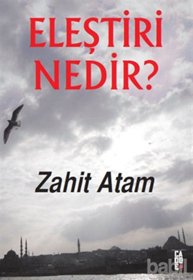 Picture of Eleştiri Nedir?