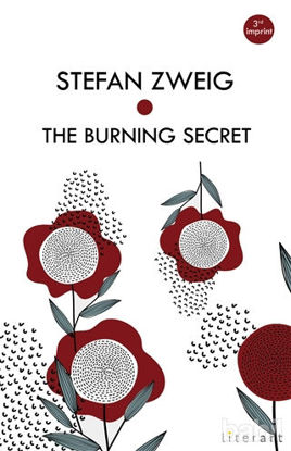 Picture of The Burning Secret