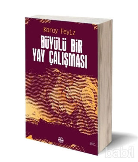 Picture of Büyülü Bir Yay Çalışması