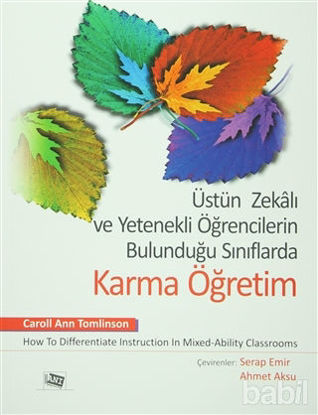 Picture of Üstün Zekalı ve Yetenekli Öğrencilerin Bulunduğu Sınıflarda Karma Öğretim