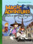 Picture of Magic Adventures - 2 : Dark in the City of Lights - Level 3