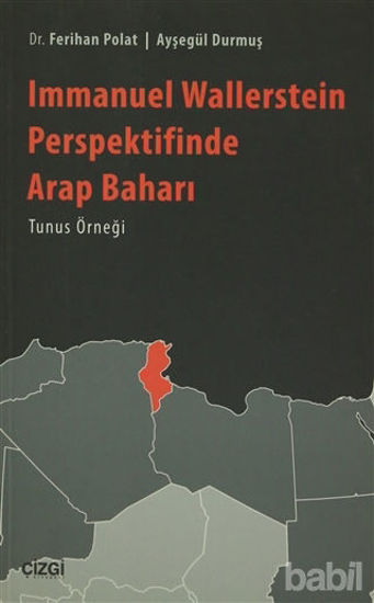 Picture of Immanuel Wallerstein Perspektifinde Arap Baharı Tunus Örneği