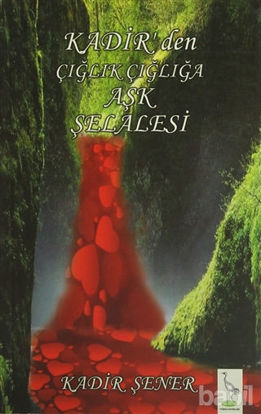 Picture of Kadir'den Çığlık Çığlığa Aşk Şelalesi