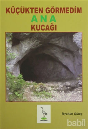 Picture of Küçükten Görmedim Ana Kucağı